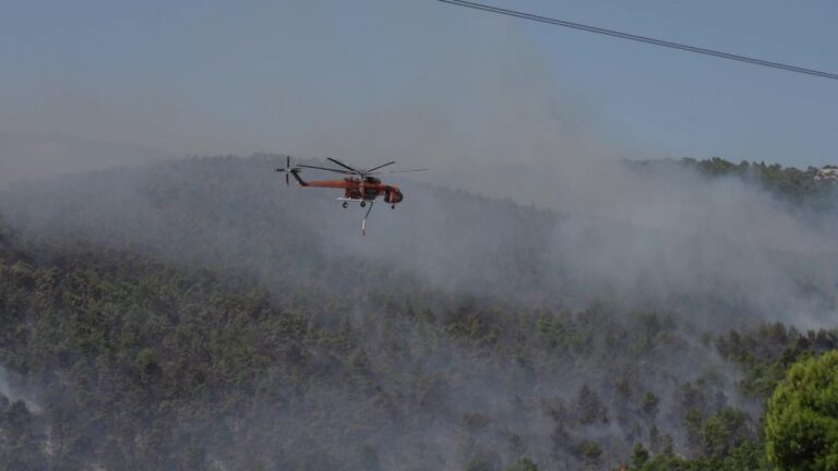 La Grecia combatte ancora il terribile incendio di Evros