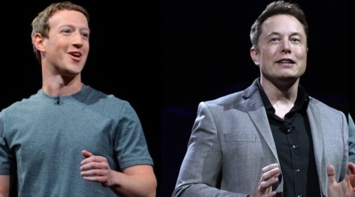 Elon Musk e Mark Zuckerberg