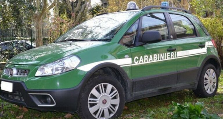 Merce scaduta nei supermarket, multe nel Napoletano