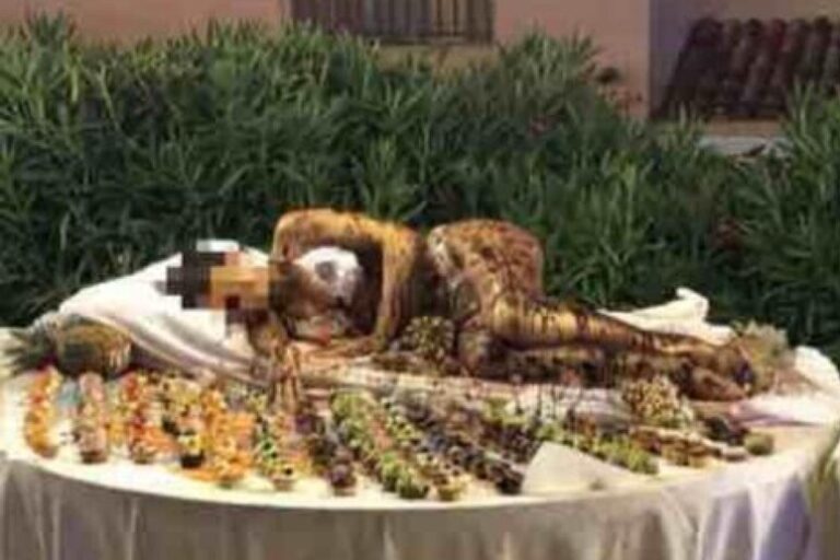 Ragazza ricoperta di cioccolato al buffet, bufera su hotel