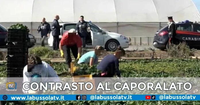 CAPORALATO NAPOLI