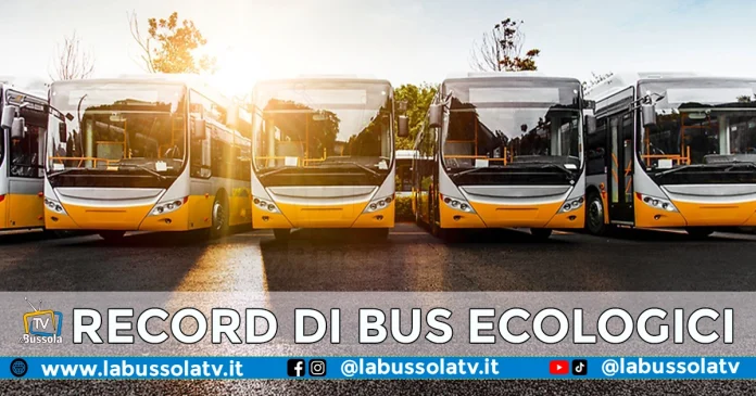 BUS ECOLOGICI