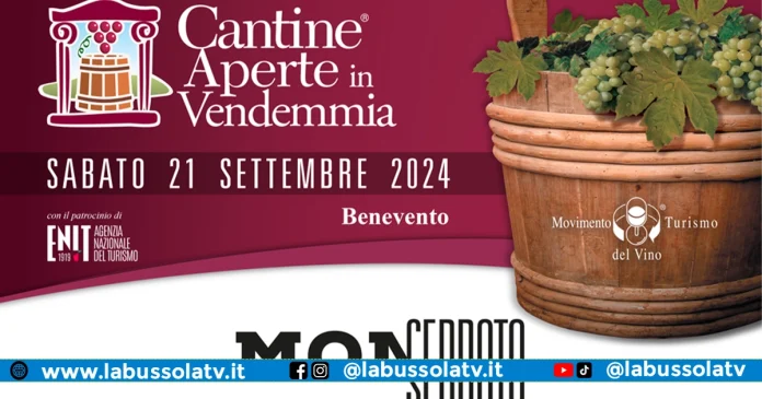 Cantine in Vendemmia