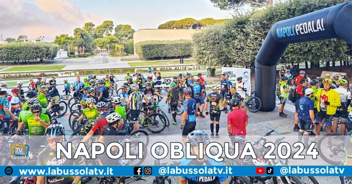 NAPOLI OBLIQUA 2024