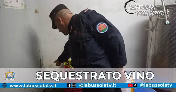 SEQUESTRATO VINO TAURASI