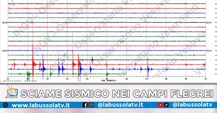 CAMPI FLEGREI SCIAME SISMICO