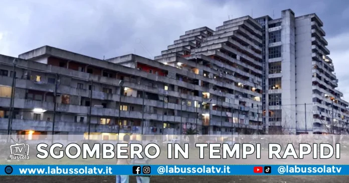 SCAMPIA VELA ROSSA