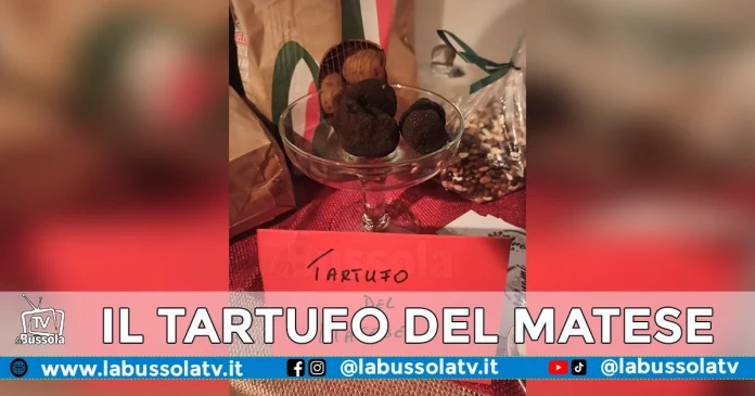 TARTUFO DEL MATESE